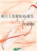 顾大人宠妻如命番外