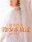 冷少独宠鲜妻全文免费