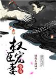权臣宠妻手册正版