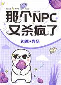 那个npc又杀疯了22