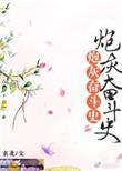 炮灰的奋斗史综