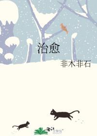 治愈术士重启人生