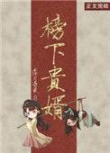 榜下贵婿 最新章节 无弹窗
