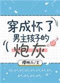 穿成怀了男主孩子的炮灰晋江