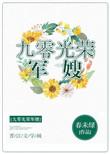 九零光荣军嫂txt