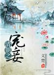 清朝宠妾灭妻
