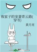 败家子的宠妻青云路(穿书)免费阅读