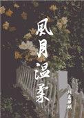 风月温柔讲的什么
