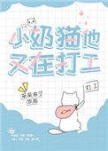 小奶猫他又在打工无防盗