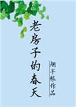 老房子的春天在线阅读