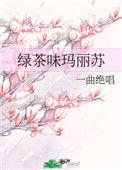 绿茶味玛丽苏26