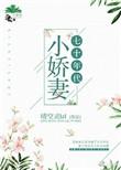 七十年代小娇妻穿书