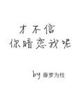 才不信你暗恋我呢书摘