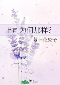 上司为何那样萝卜花兔子
