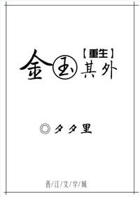 金玉其外txt