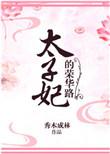 太子妃的荣华路书评