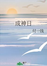 成神日志