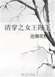 清穿之女王之路