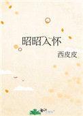 昭昭入怀笔趣阁