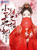 小王妃又被揍啦第三章