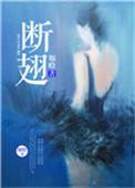 断翅的风筝
