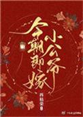 今朝即嫁小公爷结局