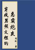 穿进男频搞建基建免费阅读