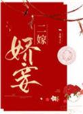 二嫁娇妾 半溪茶