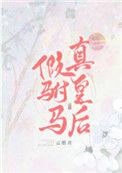 假驸马