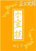 小金枝豫剧团全部名单