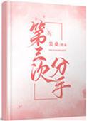 第三次分手讲的是什么