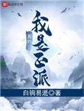 我真的是是正派