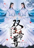 双生帝尊叶天