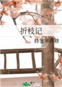 折枝记推文