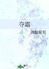 夺霜讲什么