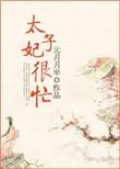 太子妃很忙清穿格格党
