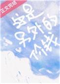 这是另外的价钱怎么接