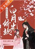 篡位皇子的娇软白月光附带番外百度