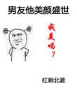 男友他美颜盛世67