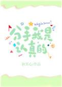 分手我是认真的免费阅读