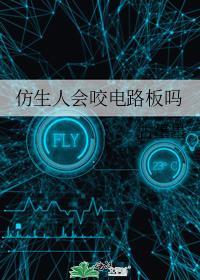 仿生人会咬电路板吗by古墨墨TXT