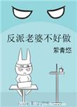 反派老婆不好做免费阅读