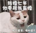 结婚七年他要跟我离婚怎么办