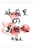 冰箱里的男朋友txt书包网