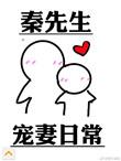 秦先生宠妻日常笔趣阁无弹窗
