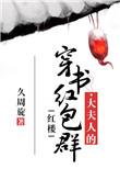 红楼之大夫人金手指
