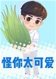 怪你太可爱了