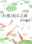 红楼之权夫