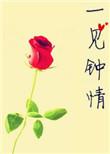 一见钟情娱乐圈文