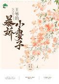 王爷的娇蛮宠妻